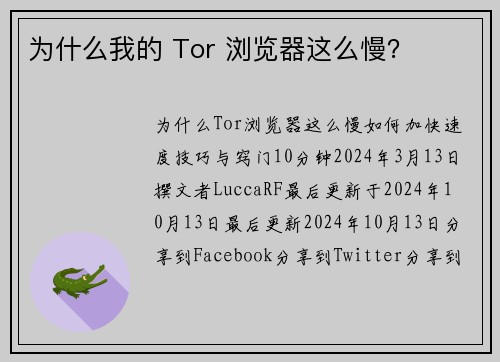 为什么我的 Tor 浏览器这么慢？ 